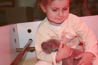 notre bébé à nous tient un chiot dans ses bras